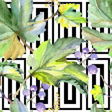 Bir suluboya tarzında üzüm berry sağlıklı gıda. Suluboya arka plan seti. Kesintisiz arka plan deseni.