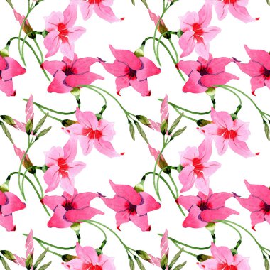 Pembe mandevilla çiçek botanik çiçekler. Suluboya illüstrasyon arka plan seti. Kesintisiz arka plan deseni.
