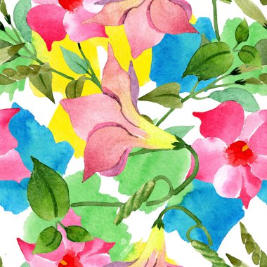 Pembe mandevilla çiçek botanik çiçekler. Suluboya illüstrasyon arka plan seti. Kesintisiz arka plan deseni.