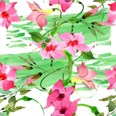 Pembe mandevilla çiçek botanik çiçekler. Suluboya illüstrasyon arka plan seti. Kesintisiz arka plan deseni.