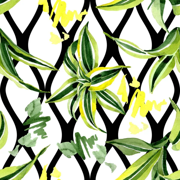 Dracena zielone liście. Roślina liściowa roślinna liści kwiatowych. Zestaw ilustracji akwarela. Płynny wzór tła. — Zdjęcie stockowe