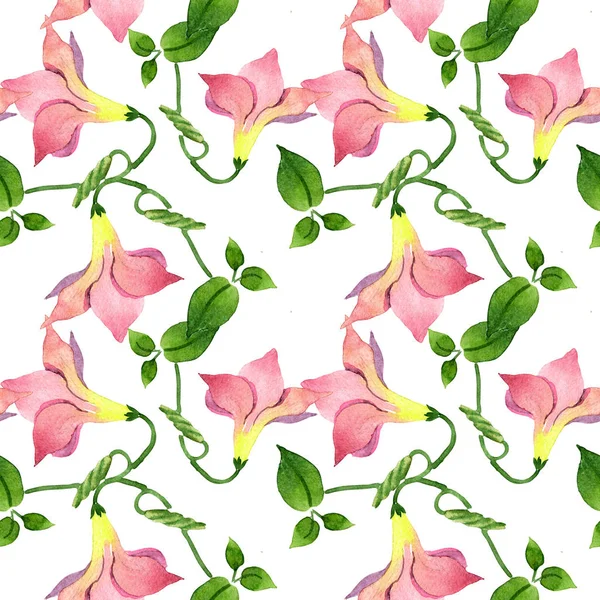 Fleurs botaniques florales de mandevilla rose. Aquarelle illustration fond ensemble. Modèle de fond sans couture . — Photo