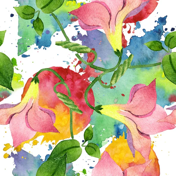 Ροζ Μαντεβίλλα floral βοτανική λουλούδια. Σετ φόντου εικονογράφησης. Ομαλή μοτίβο φόντου. — Φωτογραφία Αρχείου