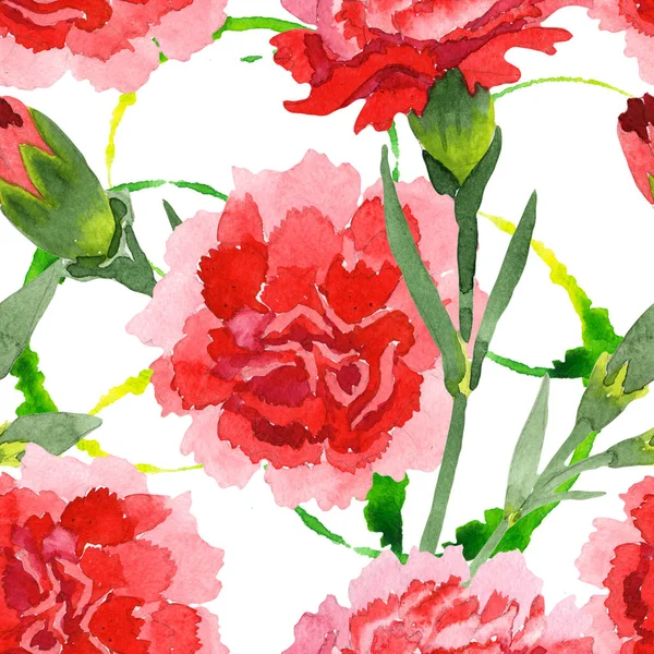 Fiori botanici floreali dianthus rossi. Acquerello sfondo illustrazione set. Modello di sfondo senza soluzione di continuità . — Foto Stock