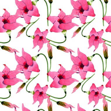 Pembe mandevilla çiçek botanik çiçekler. Suluboya illüstrasyon arka plan seti. Kesintisiz arka plan deseni.