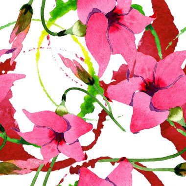 Pembe mandevilla çiçek botanik çiçekler. Suluboya illüstrasyon arka plan seti. Kesintisiz arka plan deseni.