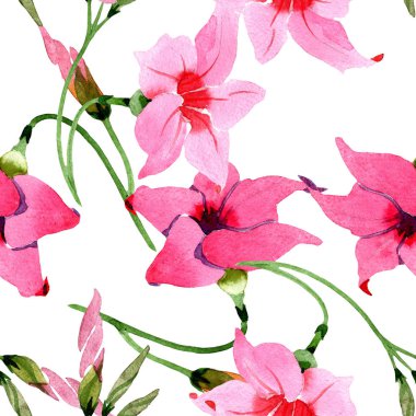 Pembe mandevilla çiçek botanik çiçekler. Suluboya illüstrasyon arka plan seti. Kesintisiz arka plan deseni.