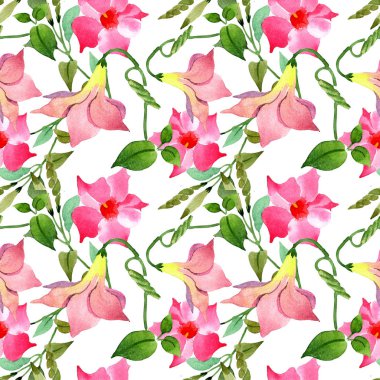 Pembe mandevilla çiçek botanik çiçekler. Suluboya illüstrasyon arka plan seti. Kesintisiz arka plan deseni.