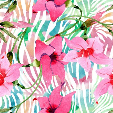 Pembe mandevilla çiçek botanik çiçekler. Suluboya illüstrasyon arka plan seti. Kesintisiz arka plan deseni.