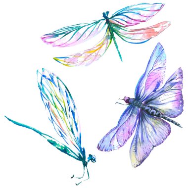 Egzotik yusufçuk vahşi böcek. Suluboya arka plan illüstrasyon seti. İzole yusufçuk illüstrasyon elemanı.