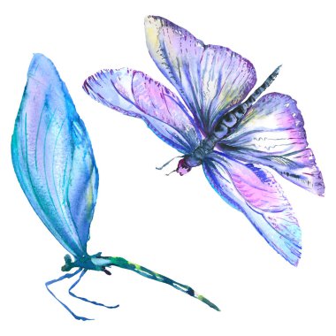 Egzotik yusufçuk vahşi böcek. Suluboya arka plan illüstrasyon seti. İzole yusufçuk illüstrasyon elemanı.