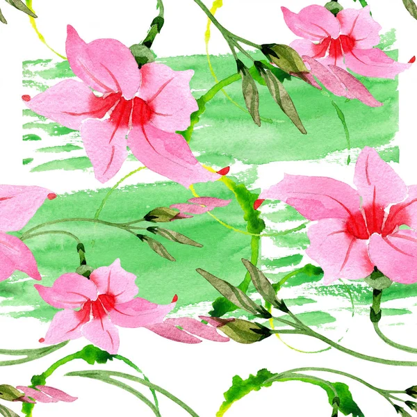 핑크 만데빌라 꽃 식물 꽃입니다. 수채화 일러스트 배경 세트입니다. 원활한 배경 패턴. — 스톡 사진