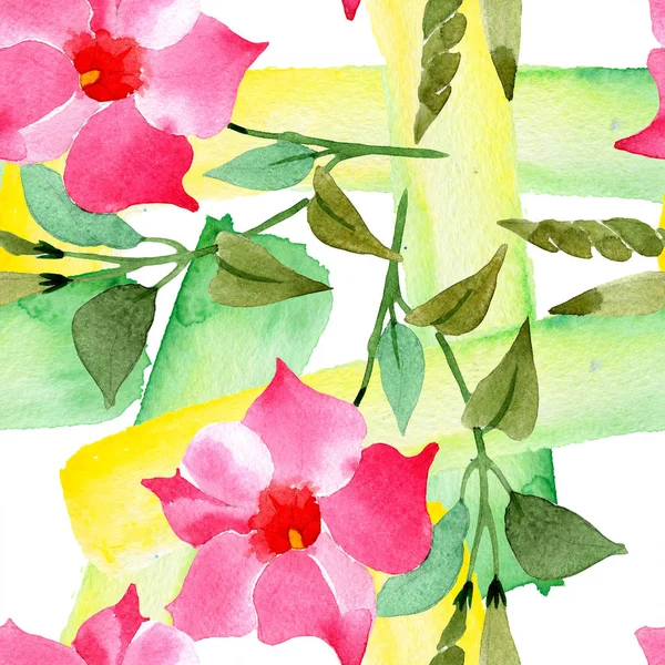 Roze mandevilla Floral botanische bloemen. Aquarel illustratie achtergrond set. Naadloos achtergrond patroon. — Stockfoto