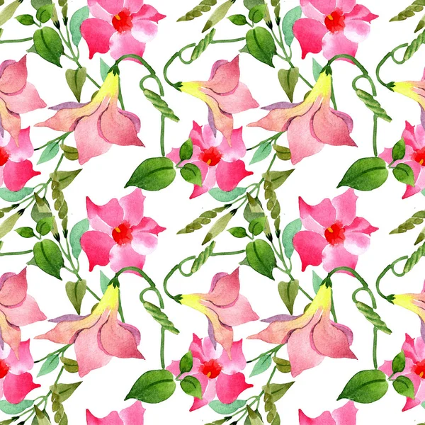 Fleurs botaniques florales de mandevilla rose. Aquarelle illustration fond ensemble. Modèle de fond sans couture . — Photo