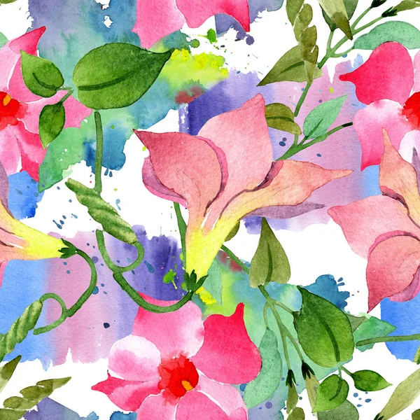 Roze mandevilla Floral botanische bloemen. Aquarel illustratie achtergrond set. Naadloos achtergrond patroon. — Stockfoto