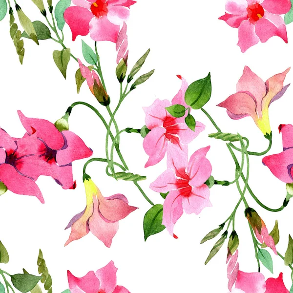 Rosa mandevilla fiori botanici floreali. Set di sfondo illustrazione acquerello. Modello di sfondo senza soluzione di continuità . — Foto Stock