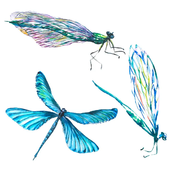 Exotische Dragonfly wilde insect. Aquarel achtergrond illustratie instellen. Geïsoleerde Dragonfly illustratie element. — Stockfoto