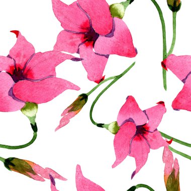 Pembe mandevilla çiçek botanik çiçekler. Suluboya illüstrasyon arka plan seti. Kesintisiz arka plan deseni.