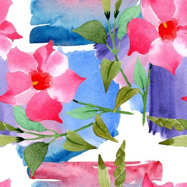 Pembe mandevilla çiçek botanik çiçekler. Suluboya illüstrasyon arka plan seti. Kesintisiz arka plan deseni.