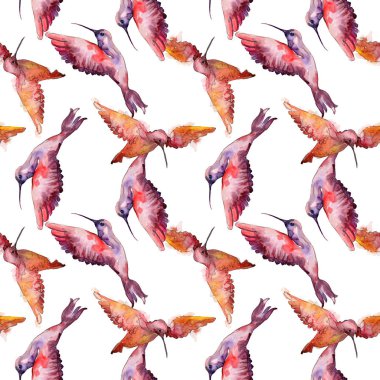 Bir vahşi yaşamda gökyüzü kuşu colibri. Suluboya arka plan illüstrasyon seti. Kesintisiz arka plan deseni.