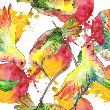 Bir vahşi yaşamda gökyüzü kuşu colibri. Suluboya arka plan illüstrasyon seti. Kesintisiz arka plan deseni.