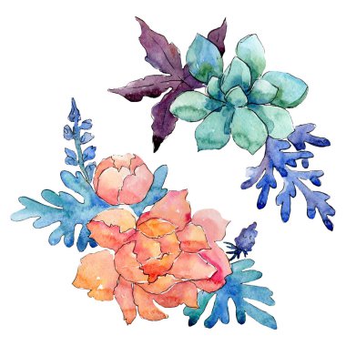 Çiçek kompozisyonu. Çiçek botanik çiçekleri. Suluboya arka plan seti. İzole buketleri illüstrasyon elemanı.