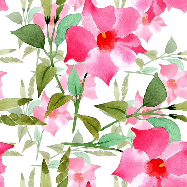 Fleurs botaniques florales de mandevilla rose. Aquarelle illustration fond ensemble. Modèle de fond sans couture . — Photo