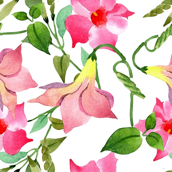 粉红色曼德维利亚花卉植物花。水彩插图背景集。无缝背景模式. — 图库照片