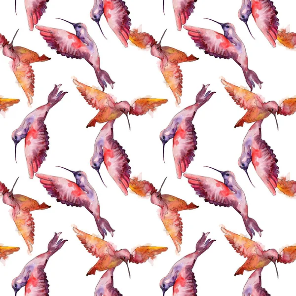 Небесные колибри в дикой природе. Набор акварельных фонов. Бесшовный рисунок фона . — стоковое фото