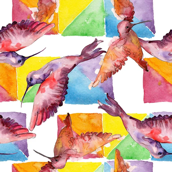 Himmelsvogel colibri in einer Tierwelt. Aquarell Hintergrundillustration Set. nahtloses Hintergrundmuster. — Stockfoto