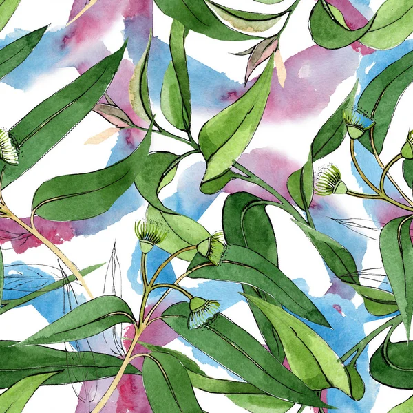Flores botánicas florales de eucalipto. Conjunto de ilustración de fondo acuarela. Patrón de fondo sin costuras . — Foto de Stock