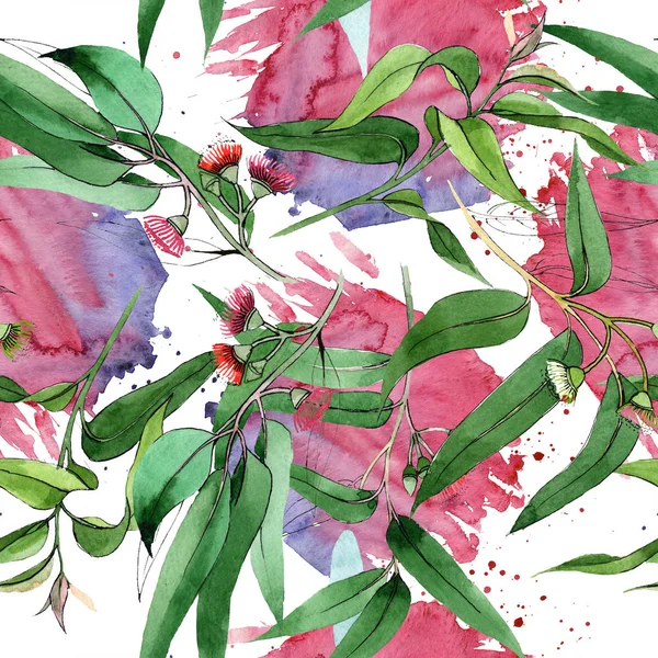 Евкаліпт квіткові ботанічні квіти. Набір ілюстрацій для акварельного фону. Безшовний візерунок тла . — стокове фото