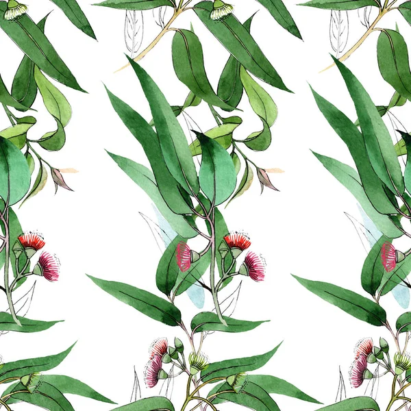 Flores botánicas florales de eucalipto. Conjunto de ilustración de fondo acuarela. Patrón de fondo sin costuras . — Foto de Stock
