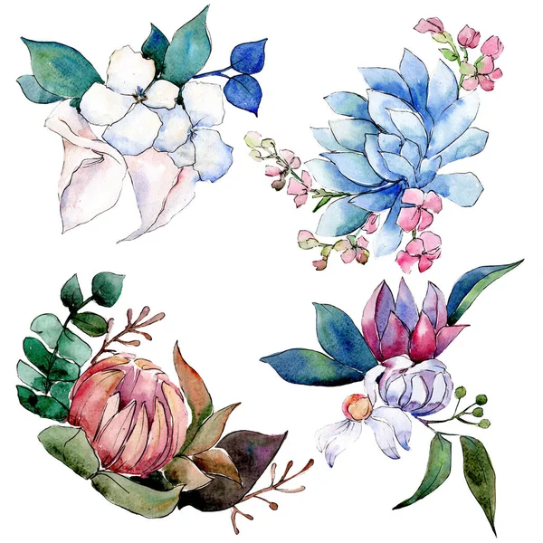 Bouquet loral fiori botanici. Acquerello sfondo illustrazione set. Mazzi isolati elemento illustrazione . — Foto Stock