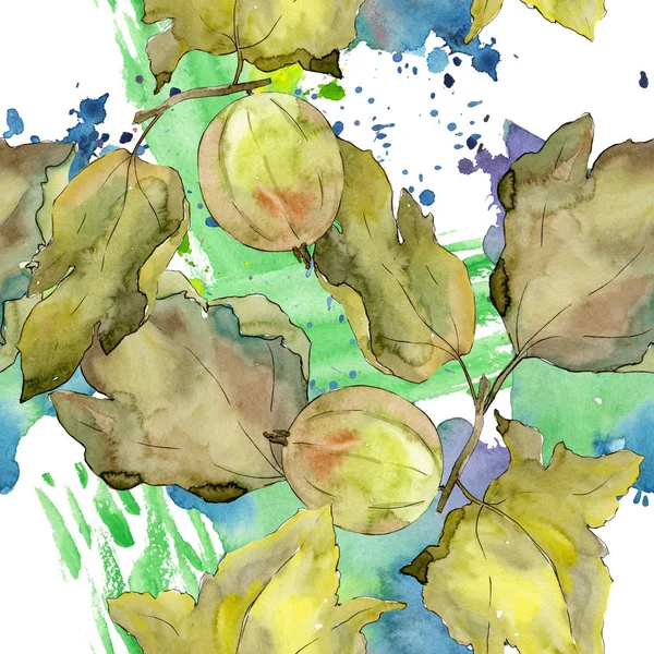 Gooseberry alimentation saine. Ensemble d'illustration de fond aquarelle. Modèle de fond sans couture . — Photo