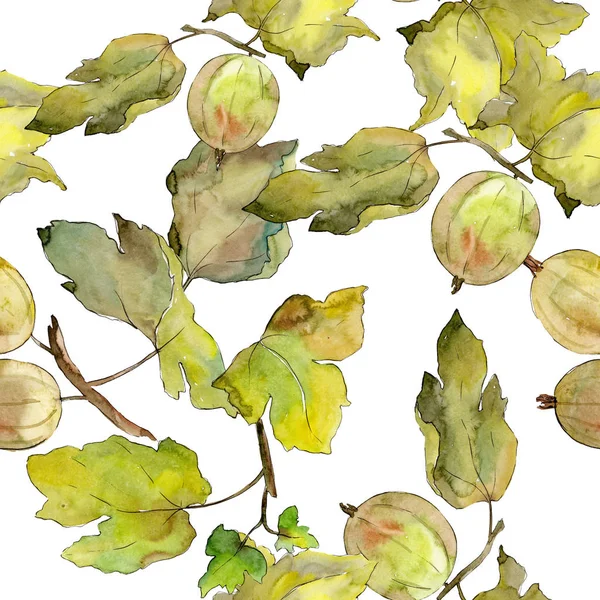 Gooseberry alimentation saine. Ensemble d'illustration de fond aquarelle. Modèle de fond sans couture . — Photo