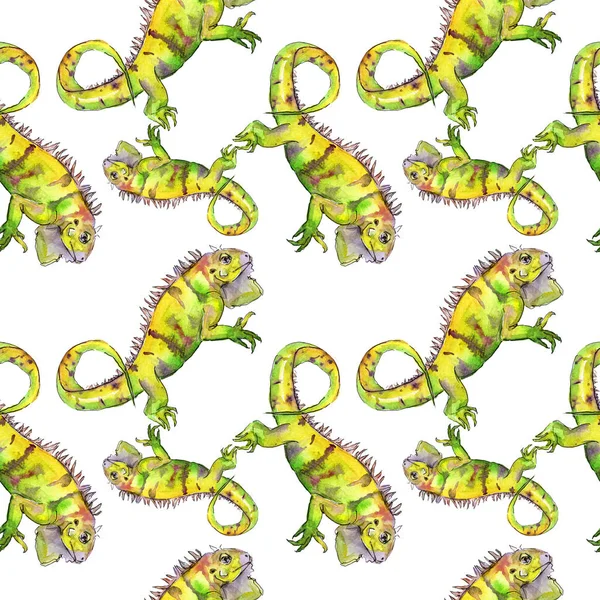Egzotik iguana vahşi hayvan. Suluboya arka plan illüstrasyon seti. Kusursuz desen. Kumaş duvar kağıdı baskı doku.