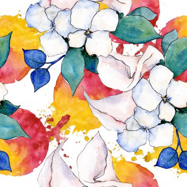 Buket loral botanik çiçekler. Suluboya arka plan illüstrasyon seti. Kesintisiz arka plan deseni.