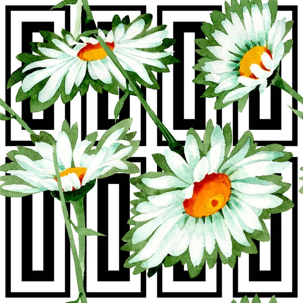 Vit Daisy blommiga botaniska blommor. Akvarell bakgrund illustration uppsättning. Sömlöst bakgrundsmönster. — Stockfoto