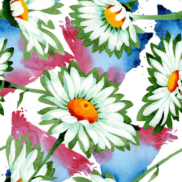 Белые ромашки цветочные ботанические цветы. Набор акварельных фонов. Бесшовный рисунок фона
.