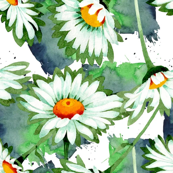 Weißes Gänseblümchen, botanische Blüten. Aquarell Hintergrundillustration Set. nahtloses Hintergrundmuster. — Stockfoto