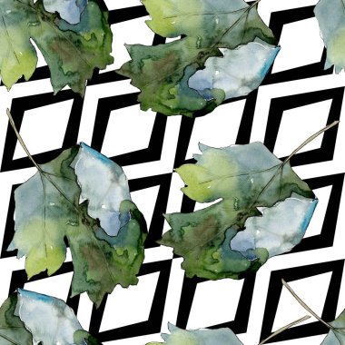 Bektaşi üzümü sağlıklı gıda. Suluboya arka plan illüstrasyon seti. Kesintisiz arka plan deseni.