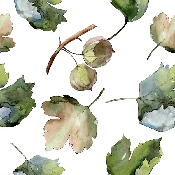 Gooseberry alimentation saine. Ensemble d'illustration de fond aquarelle. Modèle de fond sans couture . — Photo