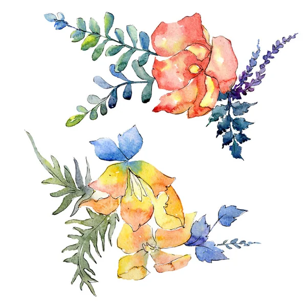 Buquê flores botânicas florais. Conjunto de ilustração de fundo aquarela. Isolados buquês elemento ilustrativo . — Fotografia de Stock