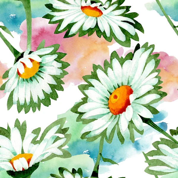 Fehér százszorszép virágos botanikus virágok. Akvarell háttér illusztráció meg. Folytonos háttérmintázat. — Stock Fotó