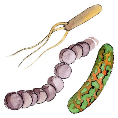 Mikrop veya mikrop el boğma illüstrasyon. Suluboya arka plan seti. İzole mikroorganizma illüstrasyon elemanı.