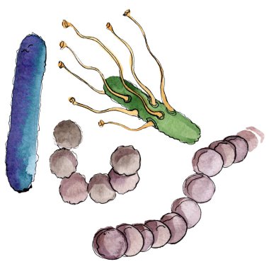 Mikrop veya mikrop el boğma illüstrasyon. Suluboya arka plan seti. İzole mikroorganizma illüstrasyon elemanı.