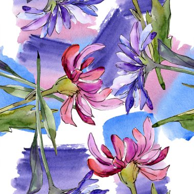 Aster çiçek botanik çiçekler. Suluboya arka plan illüstrasyon seti. Kesintisiz arka plan deseni.