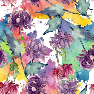 Aster çiçek botanik çiçekler. Suluboya arka plan illüstrasyon seti. Kesintisiz arka plan deseni.