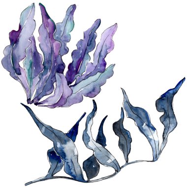 Yeşil ve mavi su altı doğa mercan resifi. Suluboya arka plan seti. İzole mercan illüstrasyon elemanı.